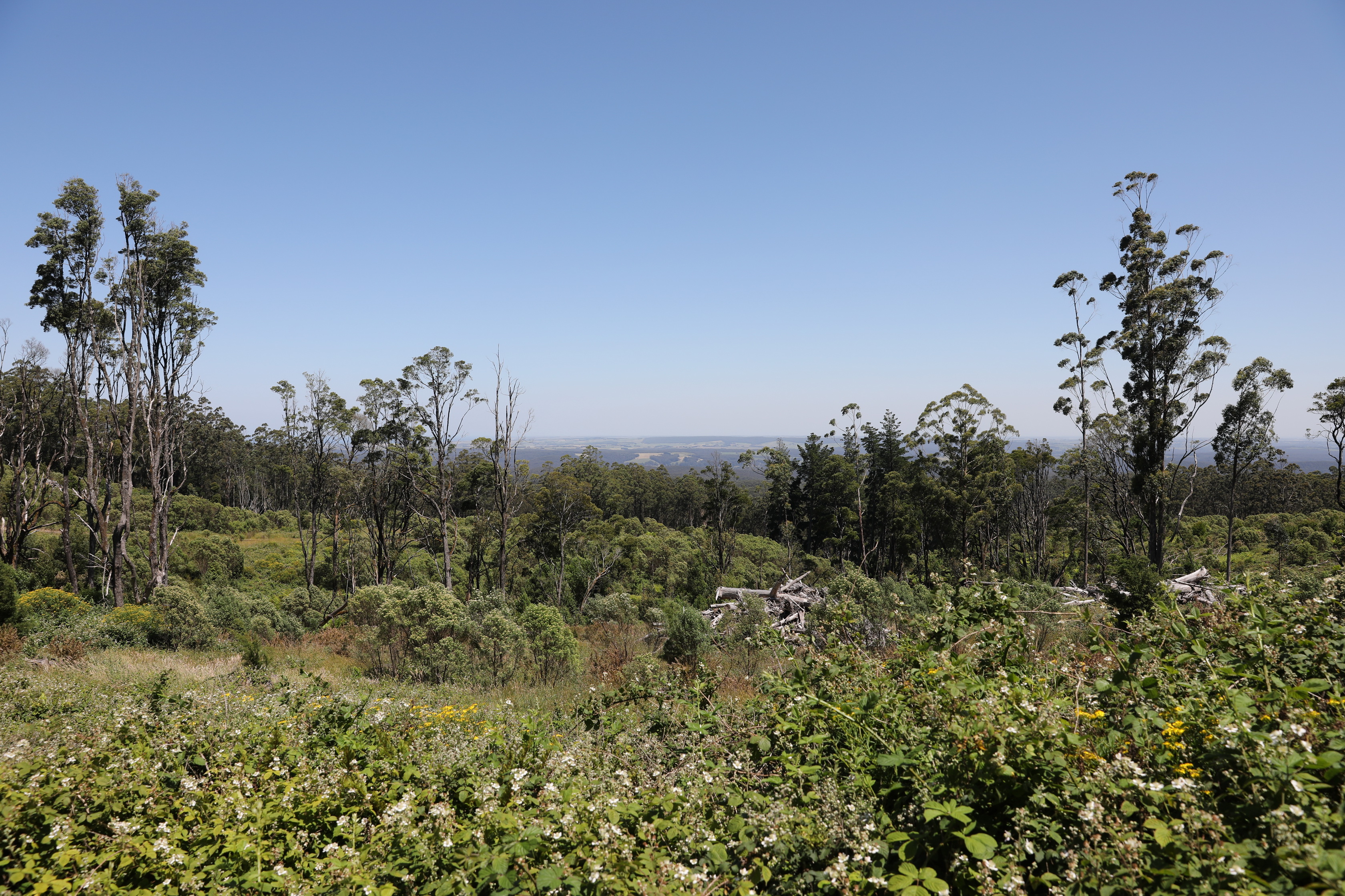 Melba Gully State Park
